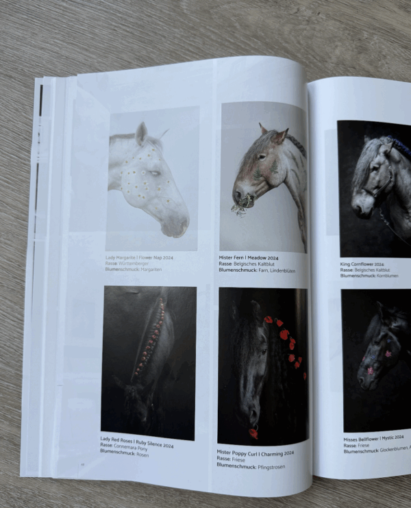 Produktkatalog – Bild 2