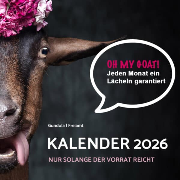 Kalender 2026 – Bild 3