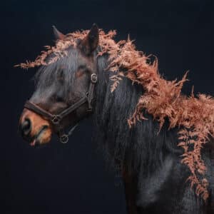 Copper and Fern | Flip